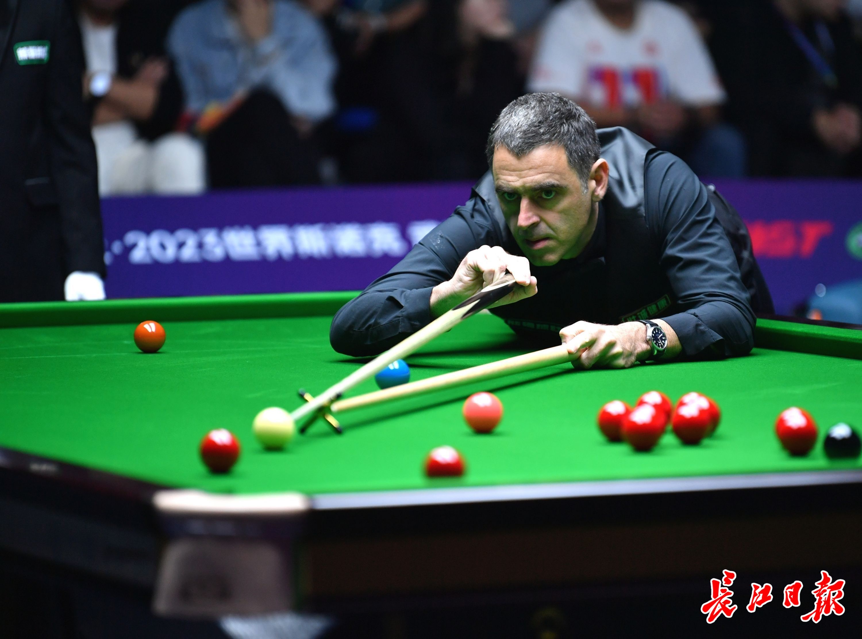 不仅是两支 不仅是两支