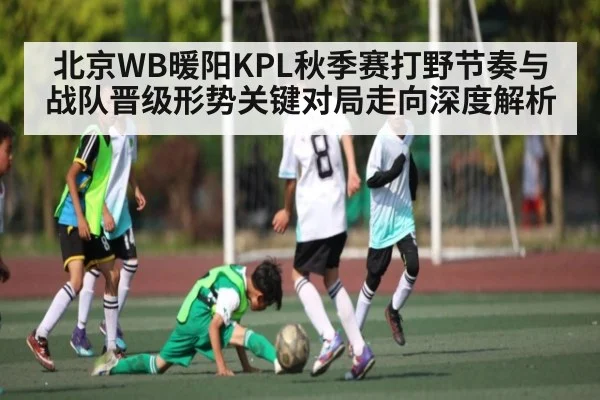 北京WB暖阳KPL秋季赛打野节奏与战队晋级形势关键对局走向深度解析